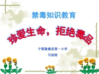 珍爱生命拒绝毒品-隆德县第一小学-马旭艳