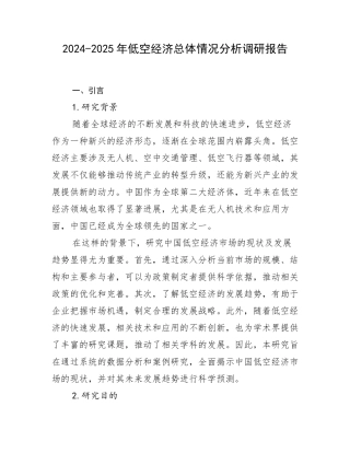 2024-2025年低空经济总体情况分析调研报告