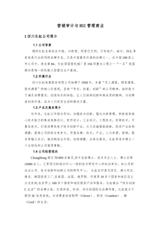 营销审计与RI管理商业