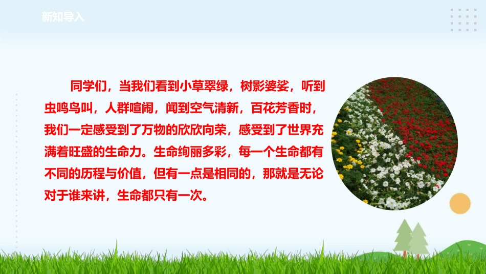 第3课《生命只有一次》课件_第2页