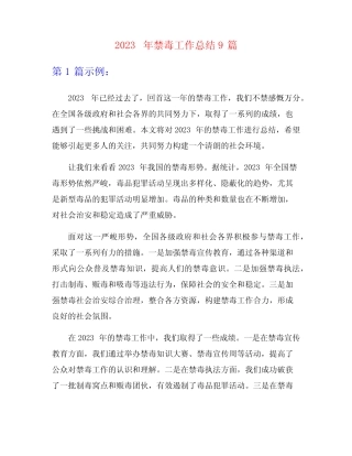 2023年禁毒工作总结9篇