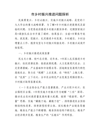 市乡村振兴推进问题探析