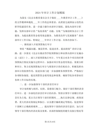 2024年审计工作计划模版(4) 