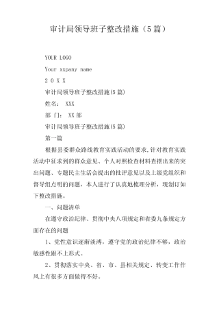 审计局领导班子整改措施(5篇)
