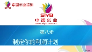 8-SYB新版课件-第八步：利润计划