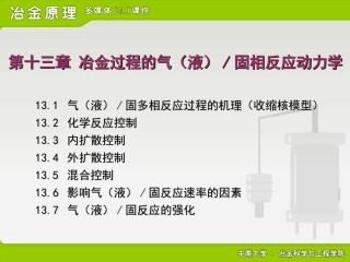 17冶金过程的气液固相反应动力学