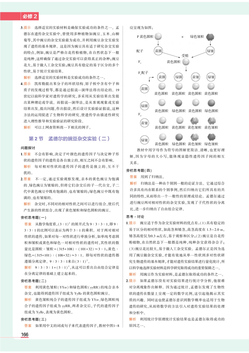 20版新教材必修2人教生物教材习题答案_第2页
