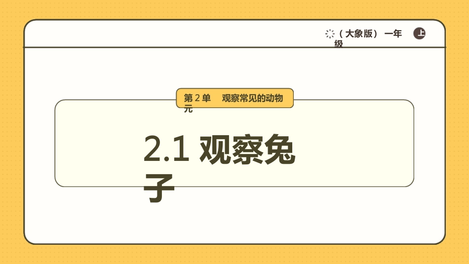 21《观察兔子》课时课件大象版（2024）科学一年级上册_第1页