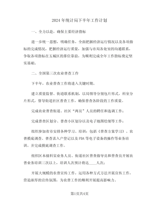 2024年统计局下半年工作计划(2) 