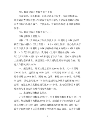 2022最新规划自查报告范文5篇