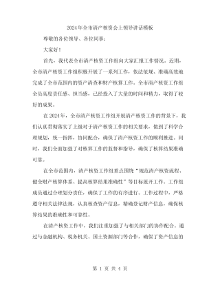 2024年全市清产核资会上领导讲话模板(二) 