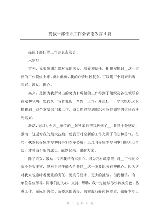 2024年提拔干部任职工作会表态发言4