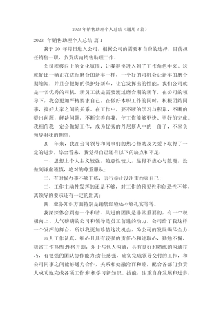 2023年销售助理个人总结(真题3篇) 