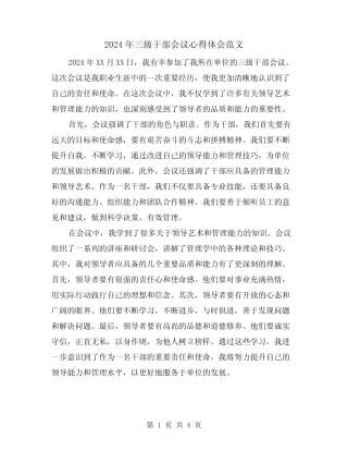 2024年三级干部会议心得体会范文(2篇) 