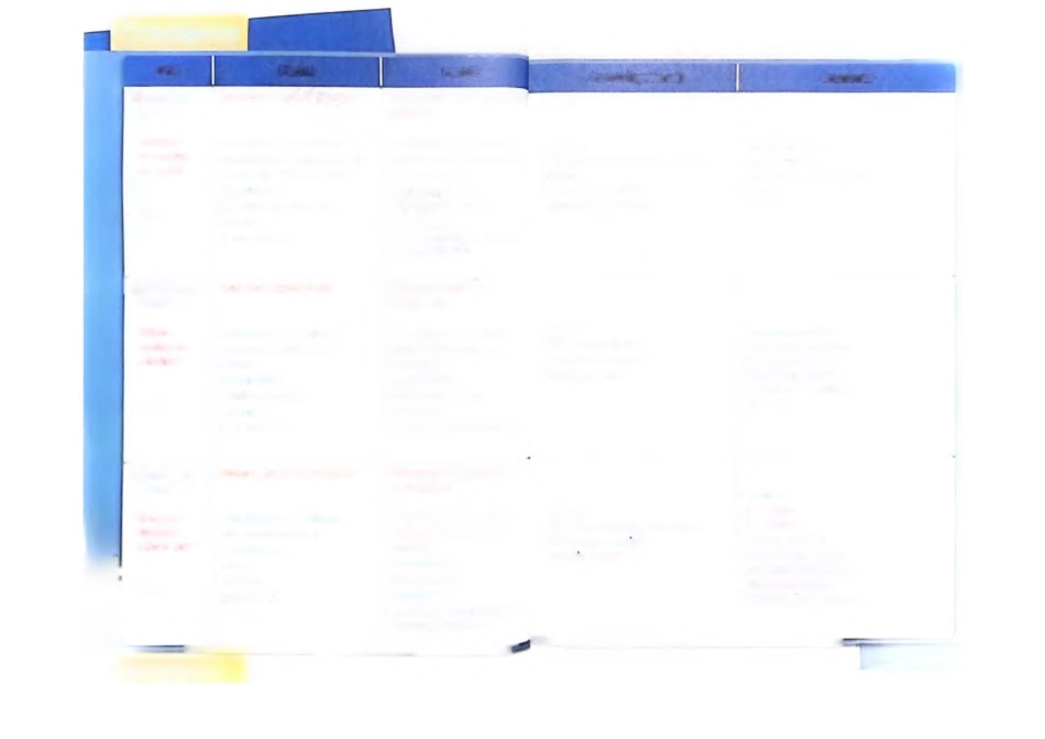 2024新版人教三上英语教材手写笔记（详细版）_第2页