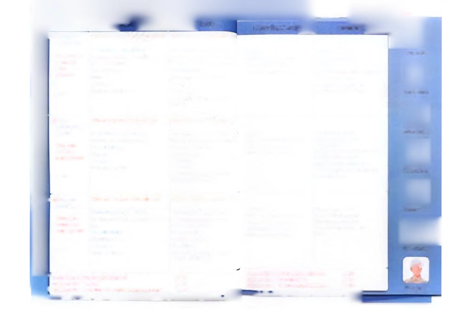 2024新版人教三上英语教材手写笔记（详细版）_第3页