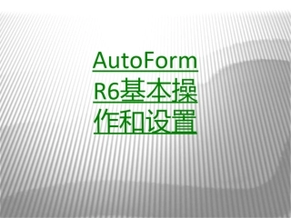 AutoFormR基本操作和设置课件 conv