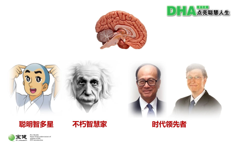 DHA藻油软糖培训宣传课件_第2页