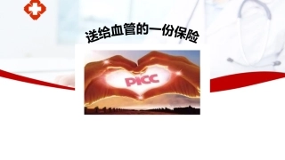 PICC详细完整课件