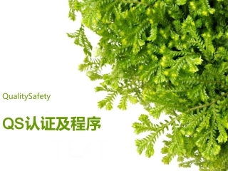 QS认证及程序完整