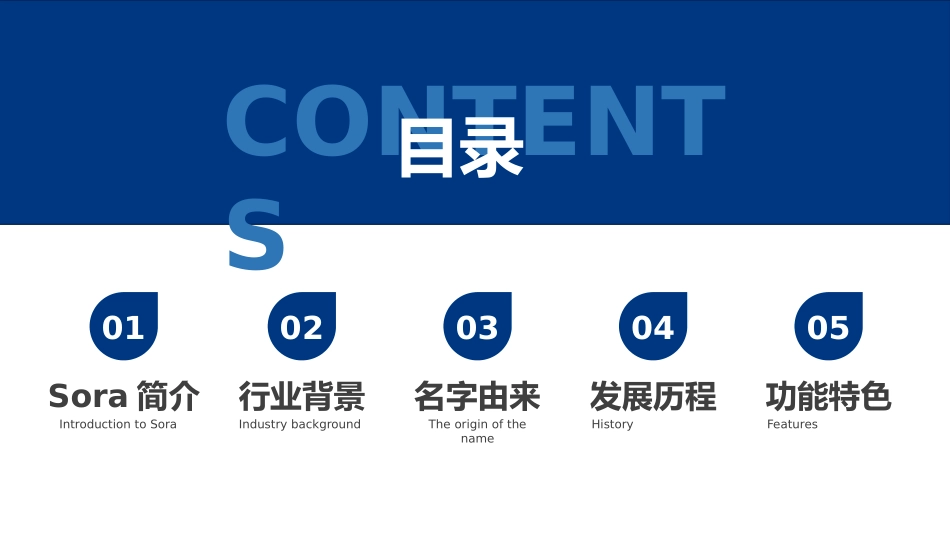 sora人工智能文生视频大模型_第2页