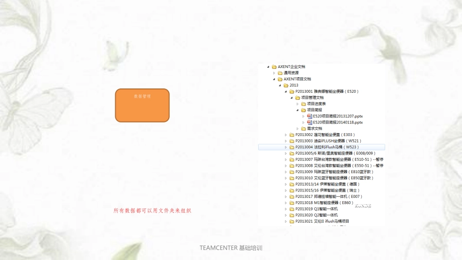 TEAMCENTER基础培训课件_第3页