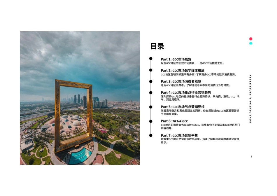 TikTok-全球市场百宝书_第2页