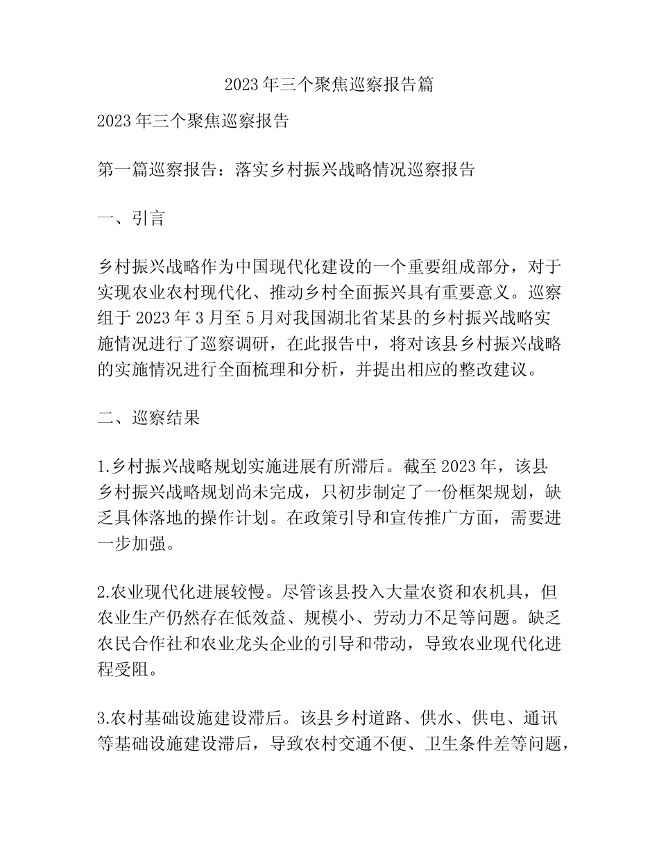 2023年三个聚焦巡察报告篇 _第1页