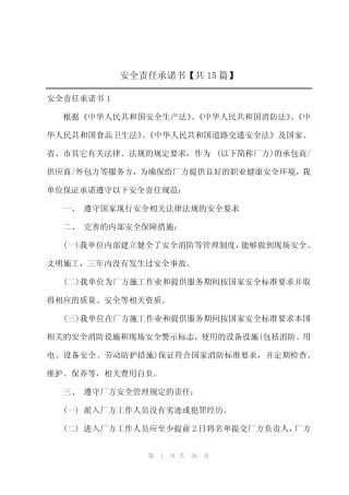 2024年安全责任承诺书【共15篇】
