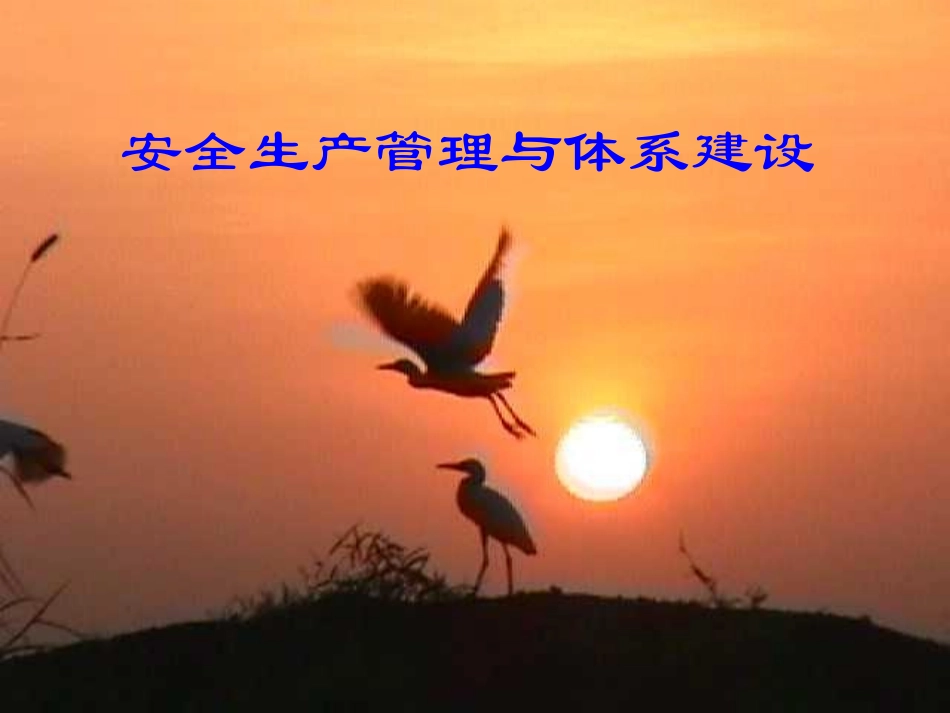 安全生产管理体系_第2页