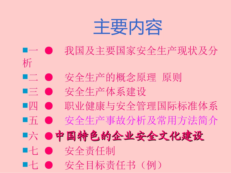 安全生产管理体系_第3页