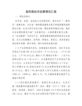 县民营经济发展情况汇报