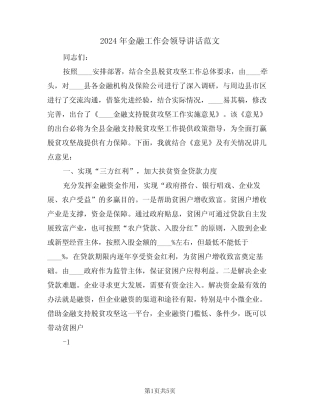 2024年金融工作会领导讲话范文(二) 