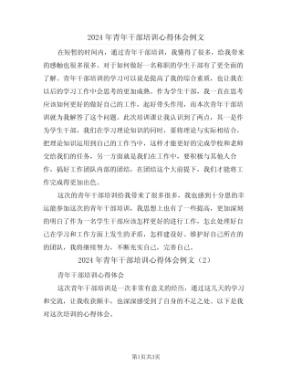 2024年青年干部培训心得体会例文(2) 