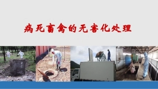 病死畜禽的无害化处理