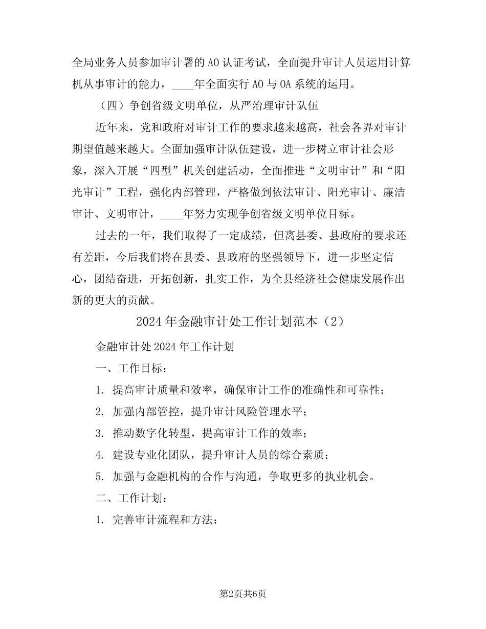 2024年金融审计处工作计划范本(3)_第2页