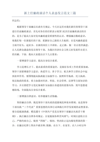 新上任廉政谈话个人表态发言范文三篇