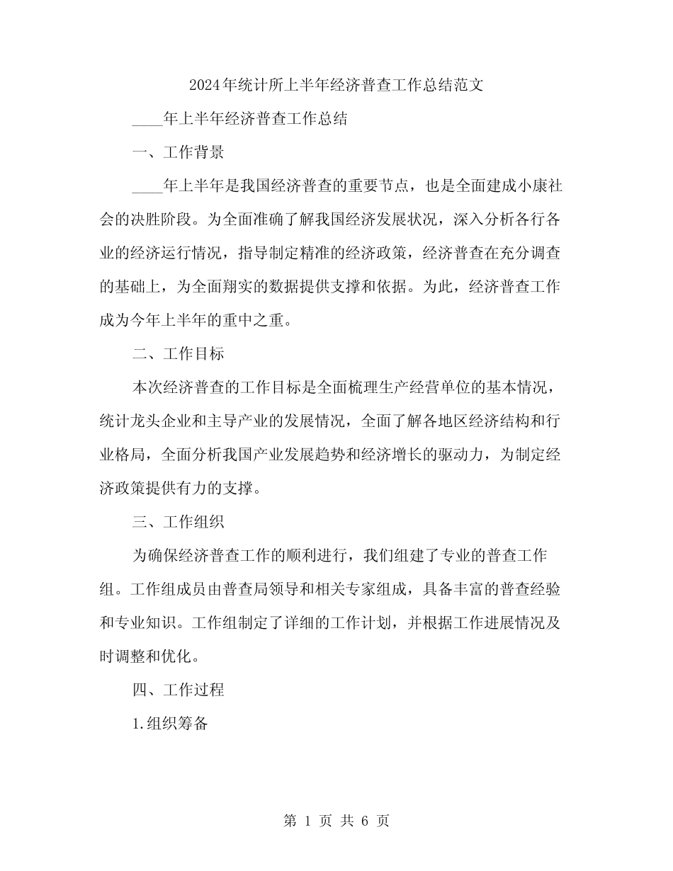 2024年统计所上半年经济普查工作总结范文(2) _第1页