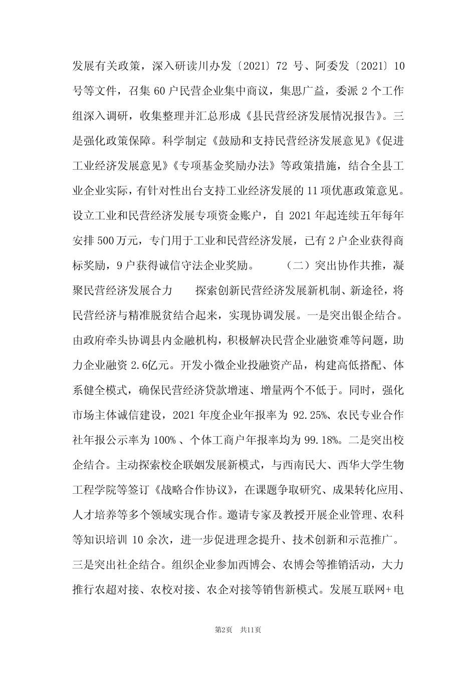 最新民营经济发展工作总结优秀范文三篇_第2页