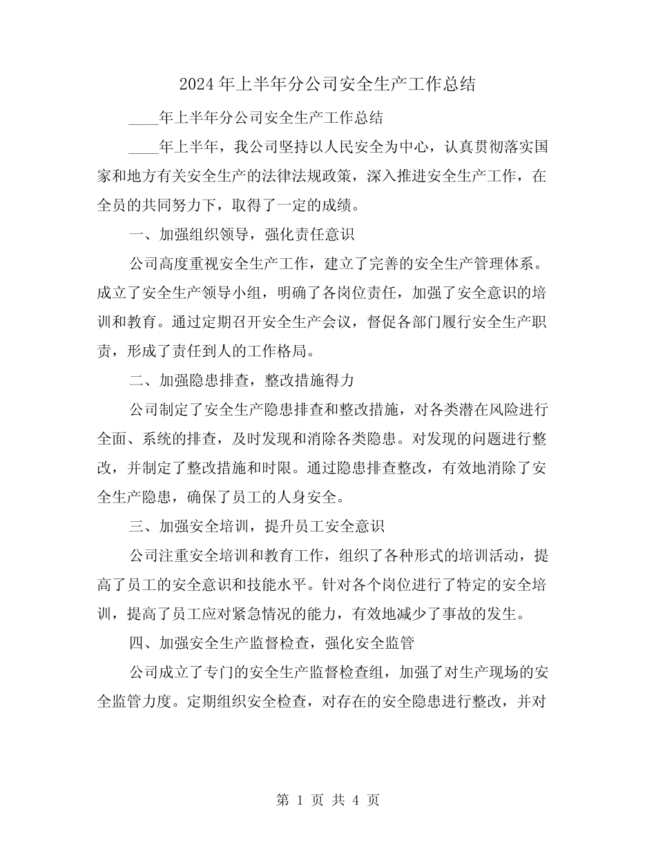 2024年上半年分公司安全生产工作总结(2篇)_第1页