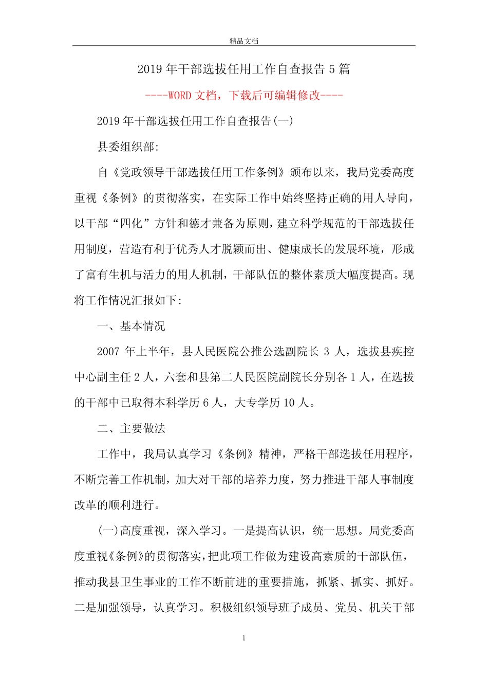 2019年干部选拔任用工作自查报告5篇 _第1页