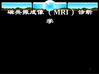 磁共振诊断学课件