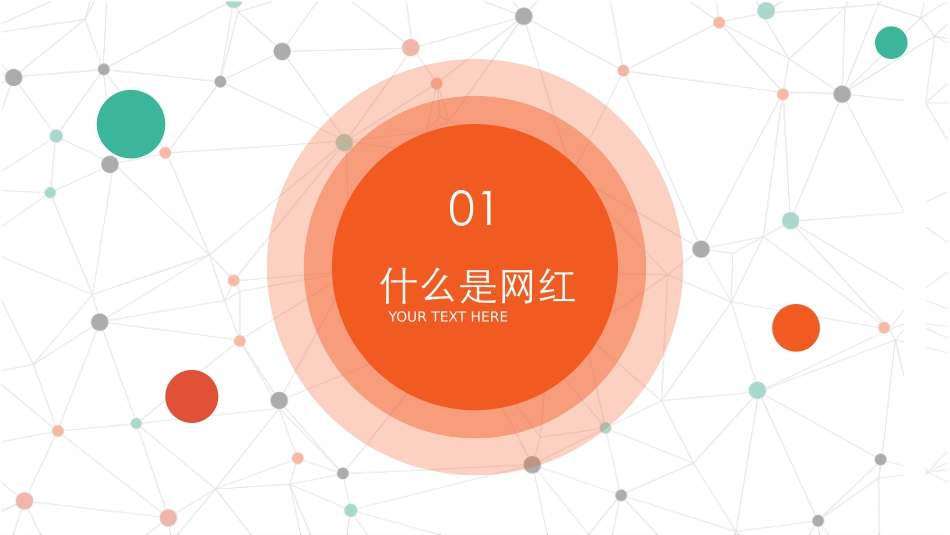 大数据时代下的网红现象_第3页