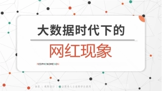 大数据时代下的网红现象
