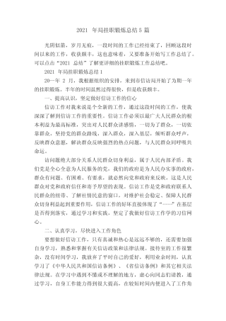 2021年局挂职锻炼总结5篇 