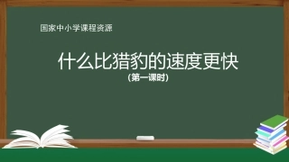 第16课 什么比猎豹的速度更快(第一课时)课件
