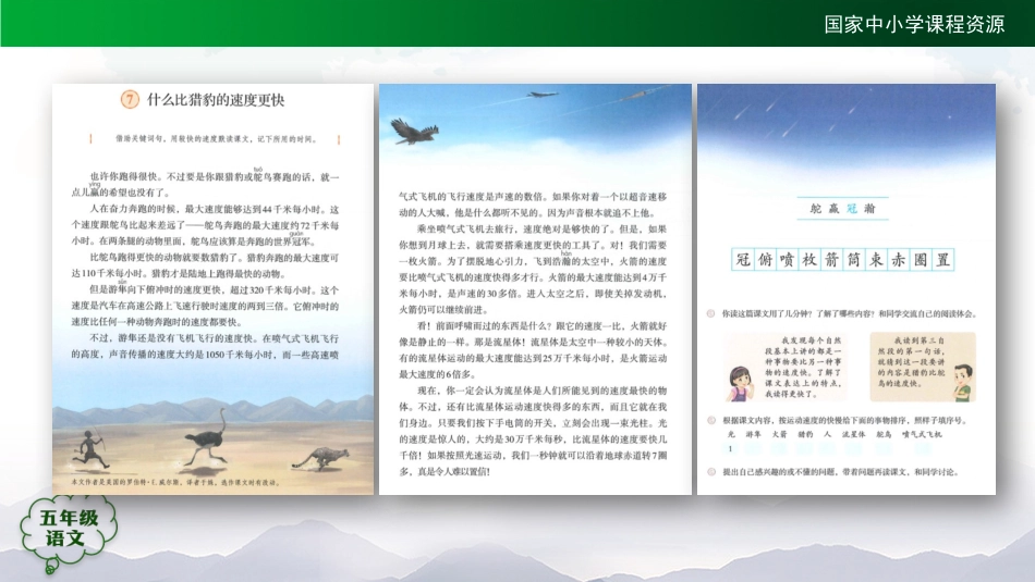 第17课 什么比猎豹的速度更快(第二课时)课件_第2页