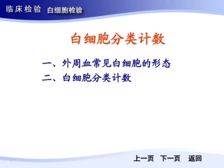 第二节白细胞分类计数