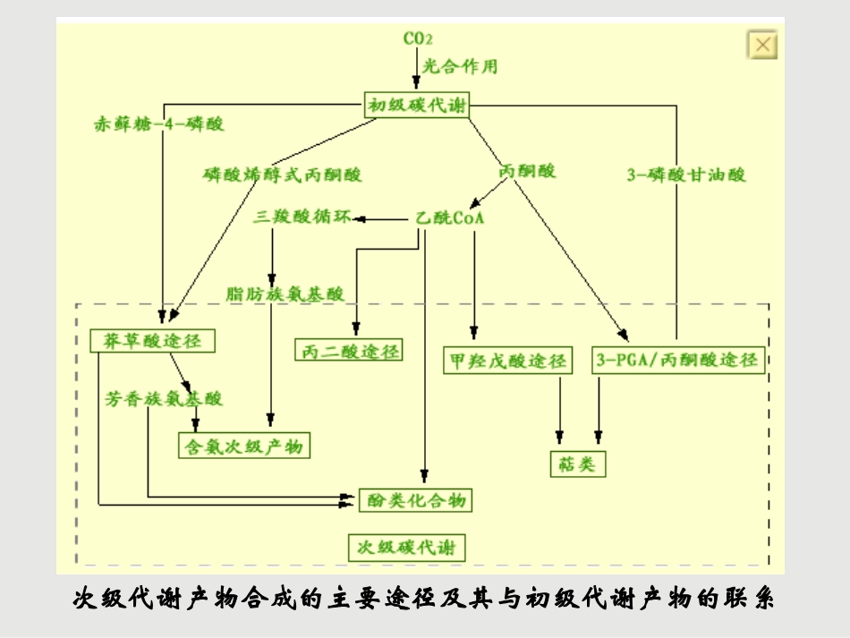 第六章-植物的次级代谢产物_第2页