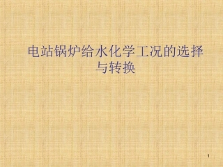 电站锅炉给水化学工况的选择与转换